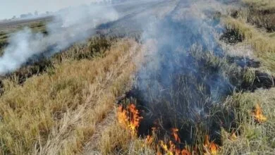 آلودگی از خاک تا آسمان؛ ضرورت توقف آتش‌سوزی‌های کشاورزی در خوزستان